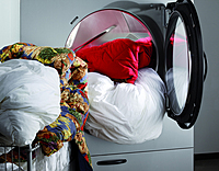 EB 41 SECADORA DE 41 KG