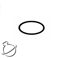 O-Ring (for Dual View Radial Purge Tube)