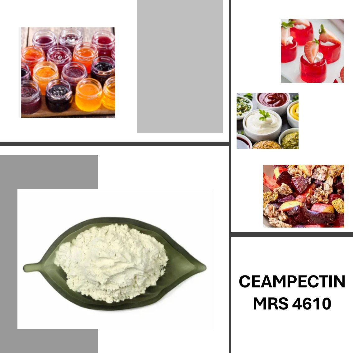 CEAMPECTIN MRS 4610