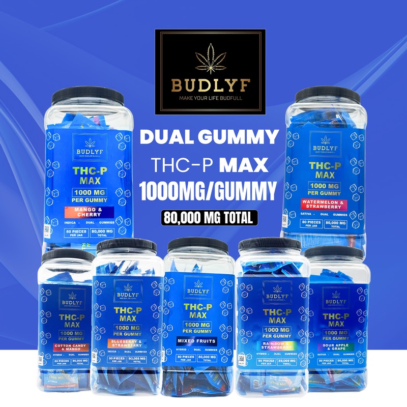 BUDLYF THC-P MAX DUAL GUMMY | 1000MG GUMMY | 80CT | 80,000 MG TOTAL
