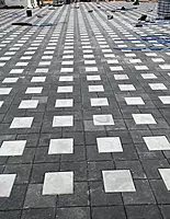 PM409: VSHAPE PAVING BLOCK