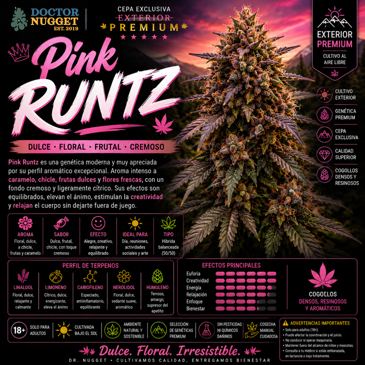 Dr. Nugget Pink Runtz THC Flor