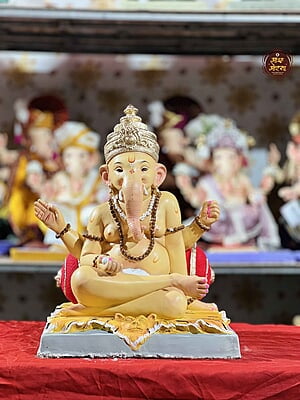 POP20240041AC POP20240041AC