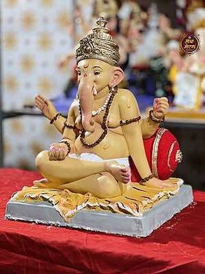 POP20240041AC POP20240041AC