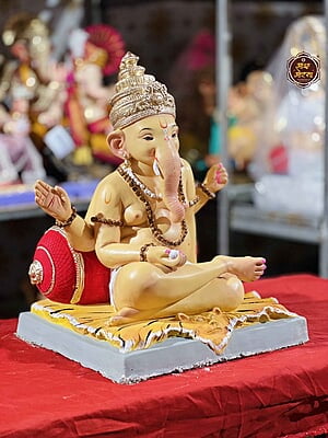 POP20240041AC POP20240041AC