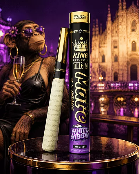 MATE KING PRE ROLL WHITE WIDOW