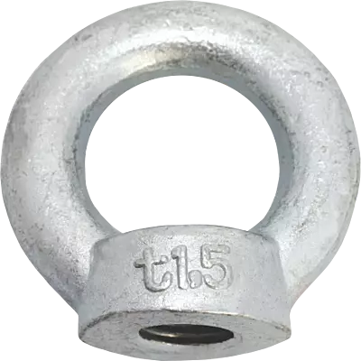 PRO-582 Ring Nut DIN 582