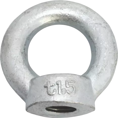 PRO-582 Ring Nut DIN 582