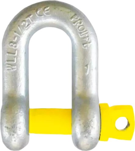 PROlift PRO-CT.02 Screw Type Chain (Dee) Shackle