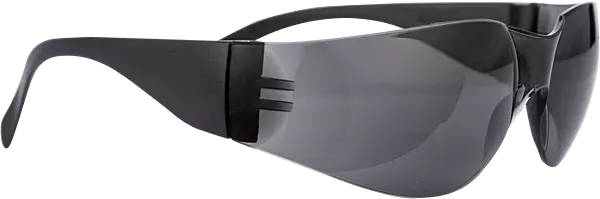 Pioneer Vision Sporty