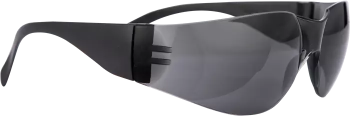 Pioneer Vision Sporty