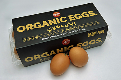 Pack of 10 GardenZ Organic Free-Range Eggs (Grade A | 44-70 gm | No Antibiotics, No Hormones)