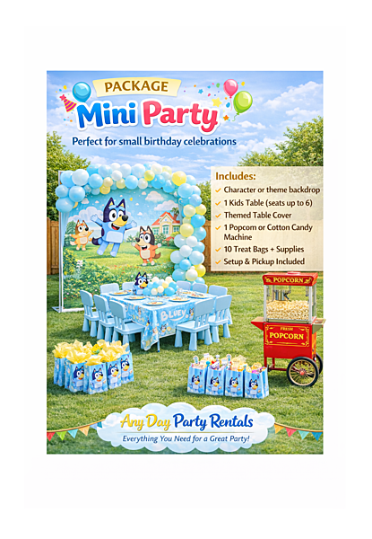 Package Mini Party