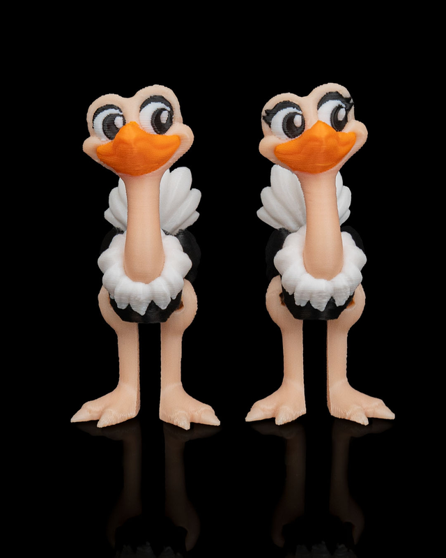 Pair of Ostriches -3D Printed Toy