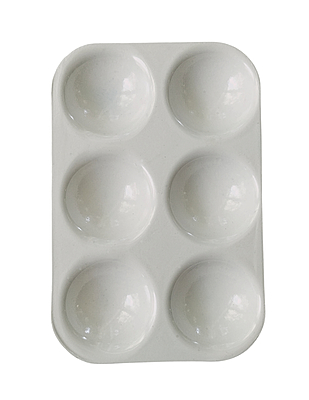 Plastic Palette 6 Well