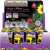 Pansy Flower Growing Kit