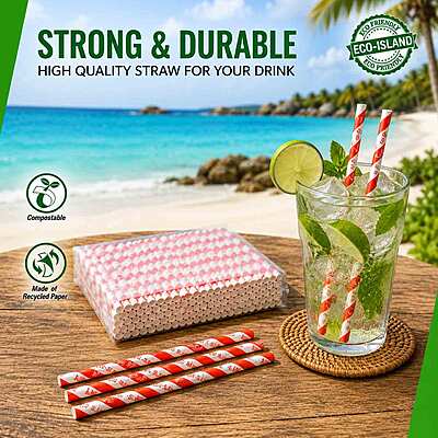 Paper Straw R+W (7.5") Eco-Island 10/400