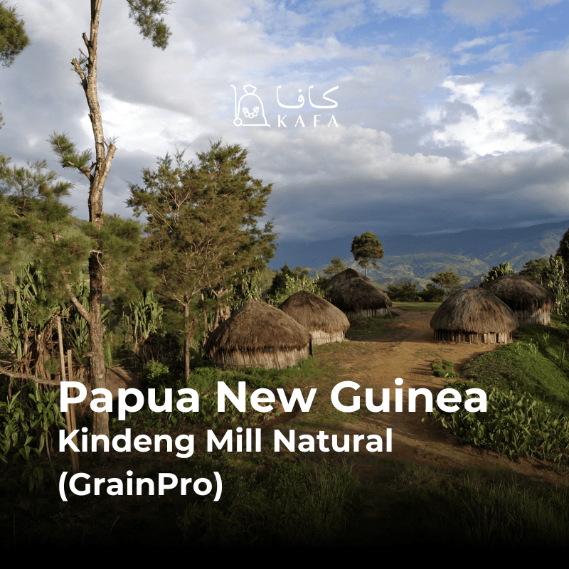 Papua New Guinea Kindeng Mill - Natural (GrainPro) (60 kg) - P21796