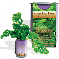 Parsley Herbs Growing Kit