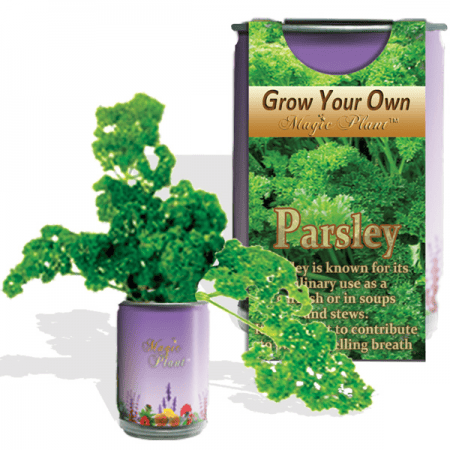 Parsley Herbs Growing Kit