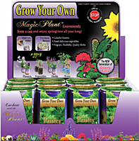 Parsley Herbs Growing Kit