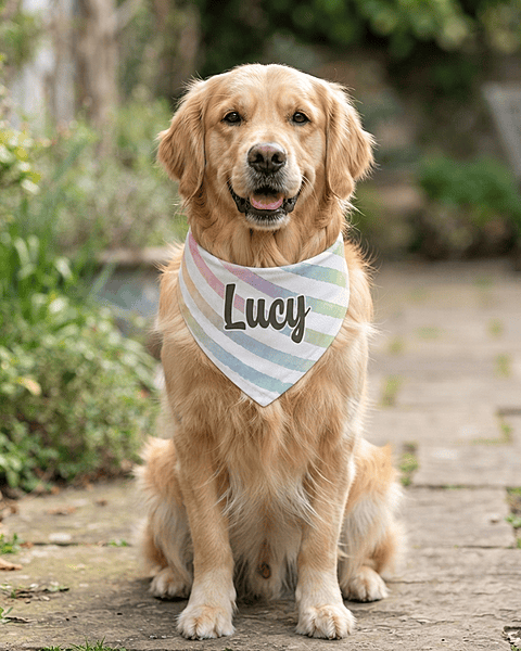 Everyday Style Series Pet Bandana