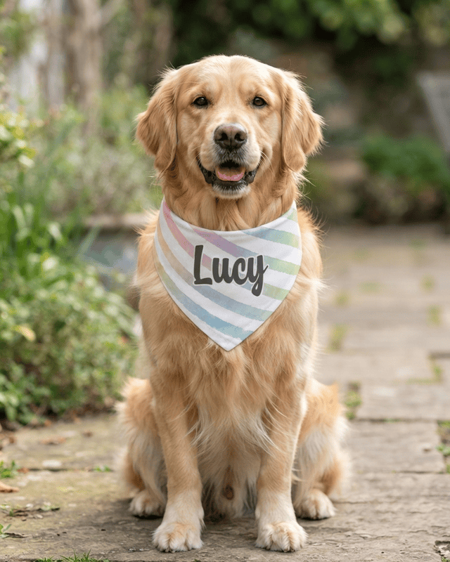 Everyday Style Series Pet Bandana