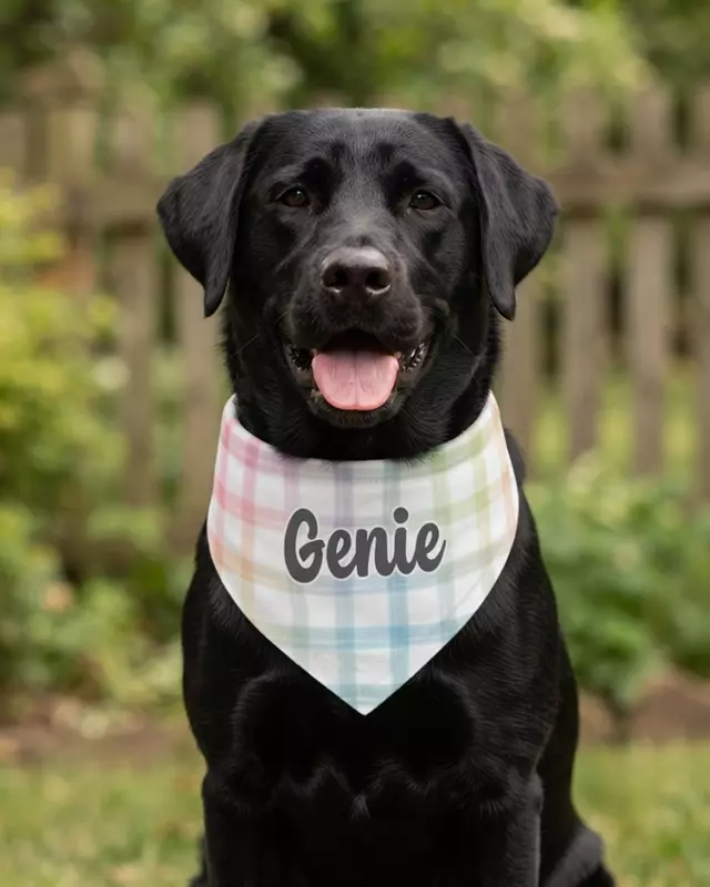 Everyday Style Series Pet Bandana