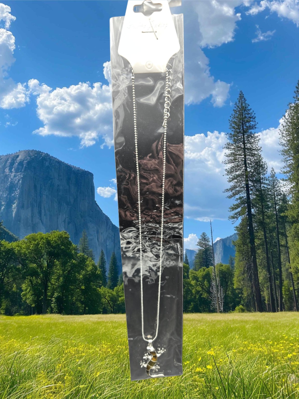 Paua Shell Lizard Necklace