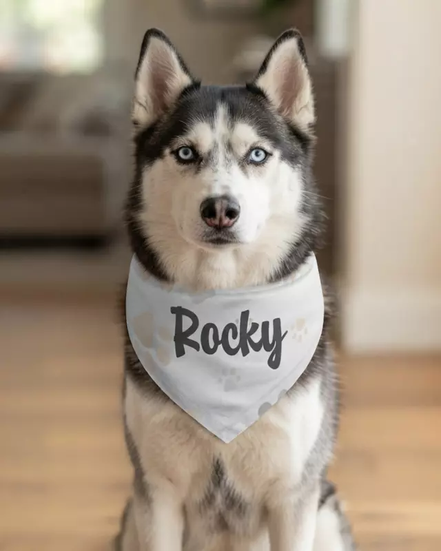 Everyday Style Series Pet Bandana