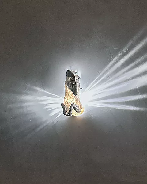 Pegasus Wall Light