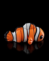 Cute Flexi Clownfish