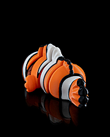 Cute Flexi Clownfish