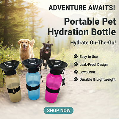 Portable Outdoor Bottle for Pets 550ml