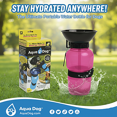 Portable Outdoor Bottle for Pets 550ml