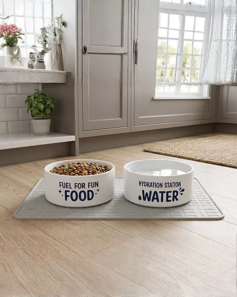 Amico Collection Mealtime Bowl