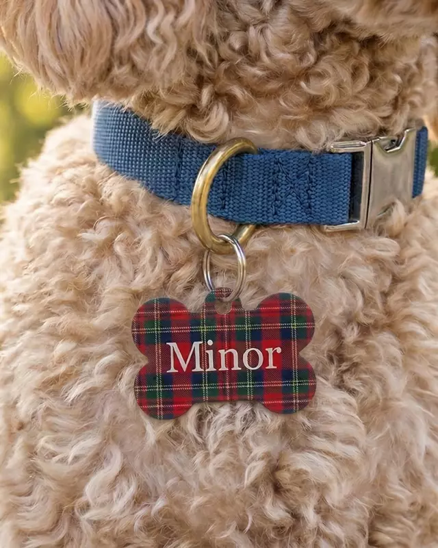 Pet ID Tag
