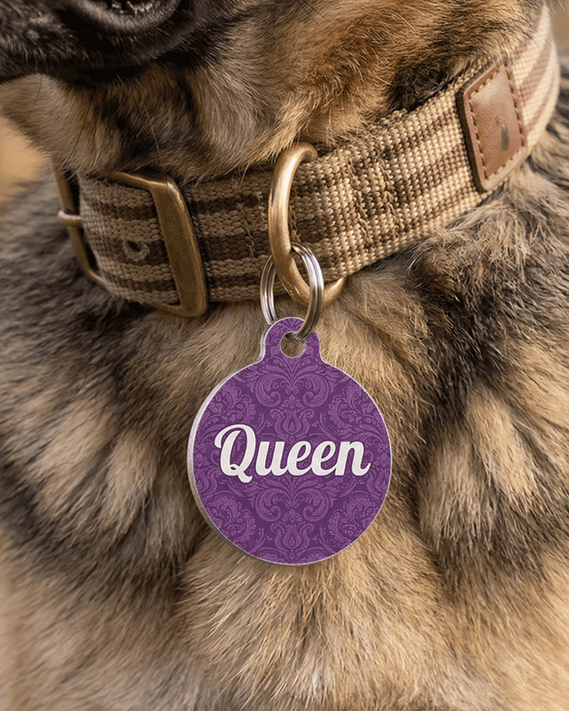 Pet ID Tag