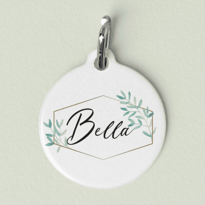 Personalized Pet Name Tag