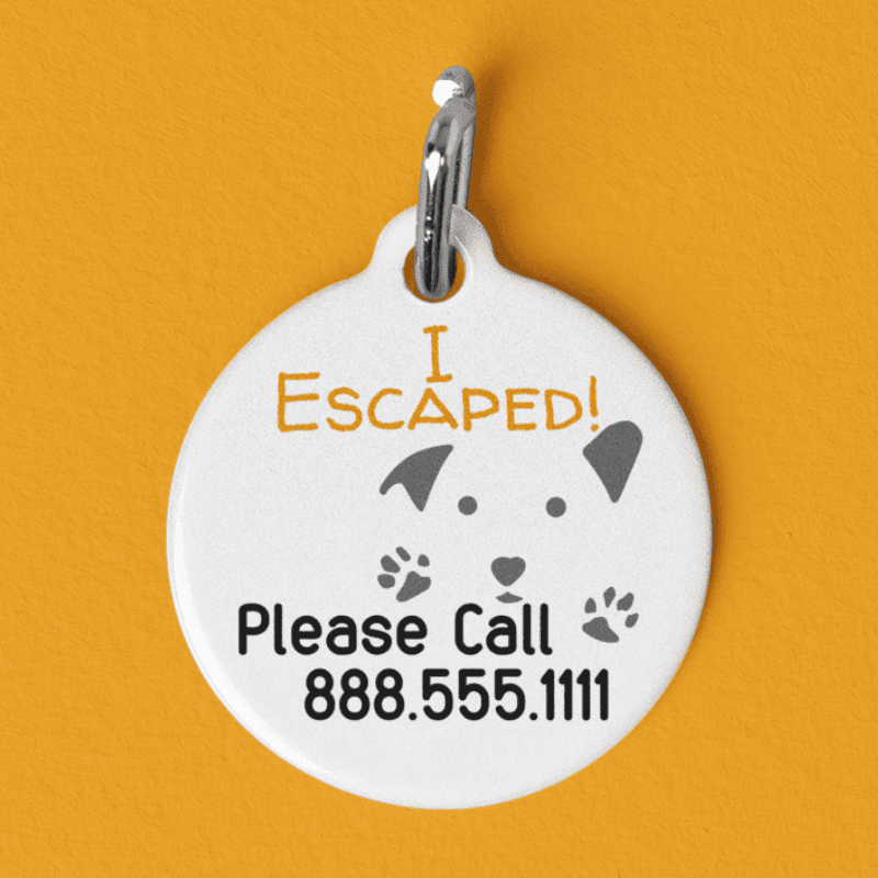 Personalized Pet Tag