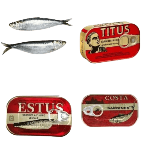 Sardine (Fresh or Canned)