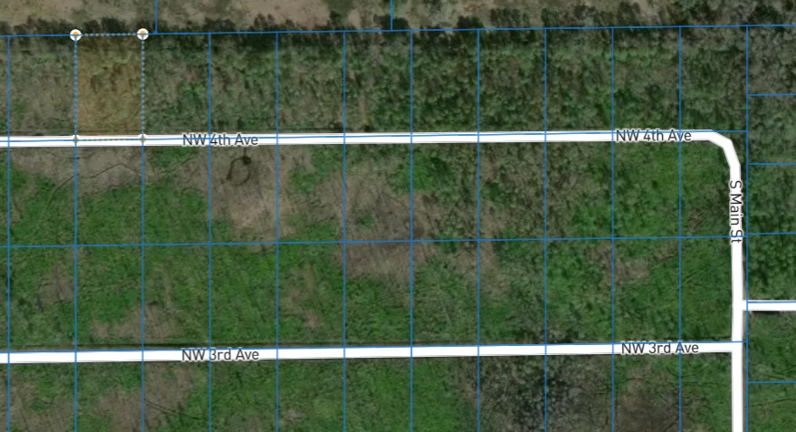 138 NW 4th Ave - Affordable 1.25 Acre Lot in Palatka