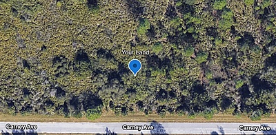 14212 and 14220 Carney Ave - Affordable .46 Acre Vacant 2 Lots in Port Charlotte