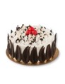 Premium Black Forest Cake - 500g