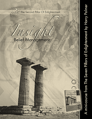 Pillar 2 • Insight: Belief Management - Digital 1