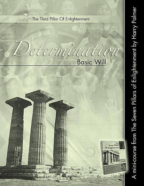 Pillar 3 • Determination: Basic Will Pillar 3 • Determination: Basic Will