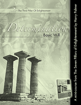 Pillar 3 • Determination: Basic Will - Digital 1