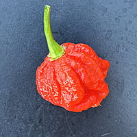 Carolina reapers congelés Carolina reapers congelés
