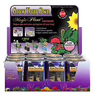Pine Tree Growing Kit - Water, Watch it Grow!