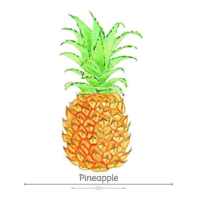 Pineapple Product Display Card